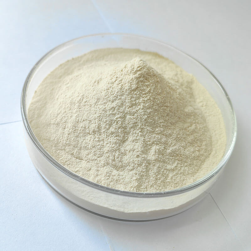 Kappa Semi-Refined Carrageenan (Powder)